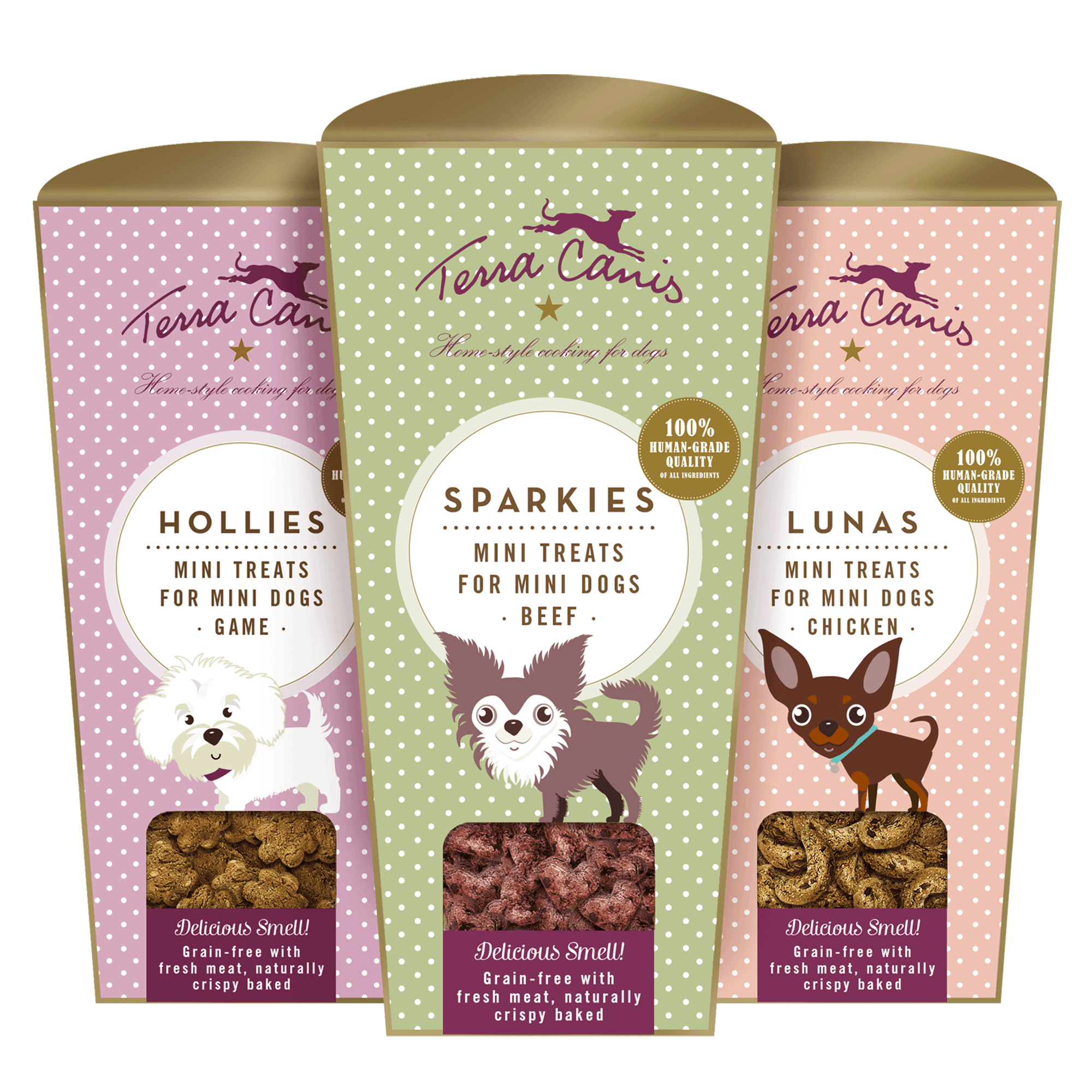 Terra Canis | MINI TREATS: Hundekekse Wild